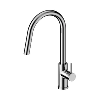 Gooseneck Kitchen Mixer Tap with Pull Out Nozzle - Chrome